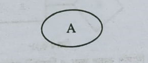 ডাটা মডেল
