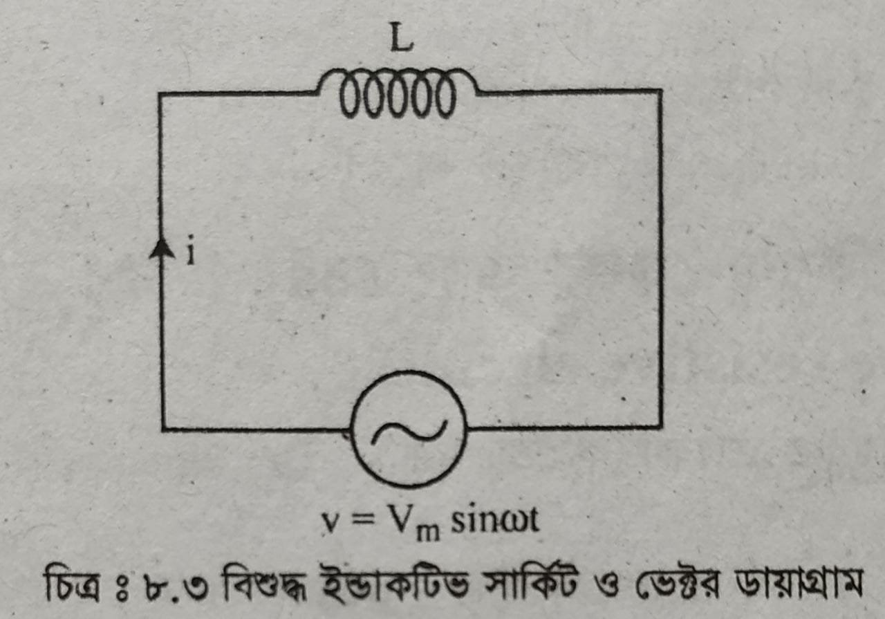 বিশুদ্ধ রেজিস্টিভ সার্কিটের ফেজর এবং ভেক্টর চিত্রের ব্যাখ্যা