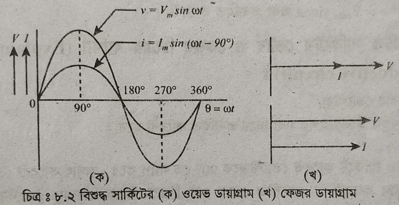 বিশুদ্ধ রেজিস্টিভ সার্কিটের ফেজর এবং ভেক্টর চিত্রের ব্যাখ্যা