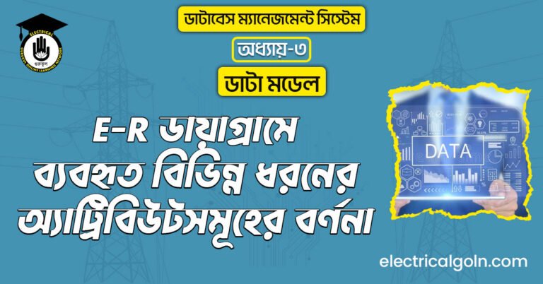 E-R ডায়াগ্রামে ব্যবহৃত বিভিন্ন ধরনের অ্যাট্রিবিউটসমূহের বর্ণনা